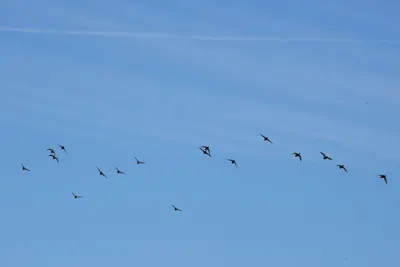 DSC_3055 (Large).JPG